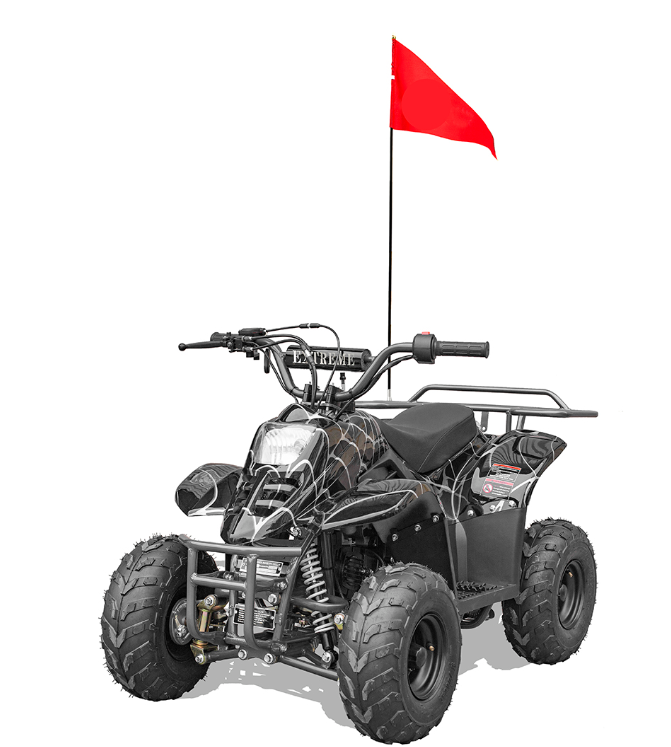 Hawk 110cc ATV Kids (Assembled)