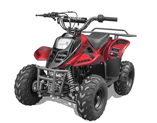 Hawk 110cc ATV Kids (Assembled)