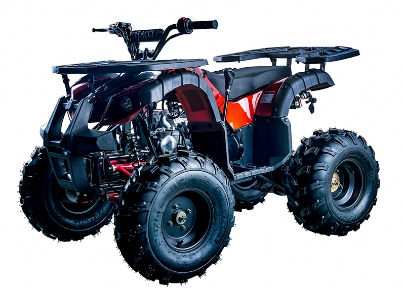 Rider 10 125cc ATV Kids (Assembled)